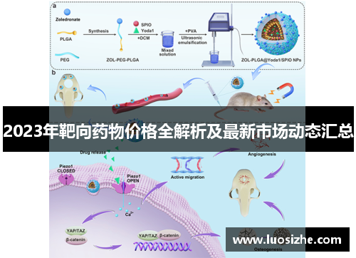 2023年靶向药物价格全解析及最新市场动态汇总