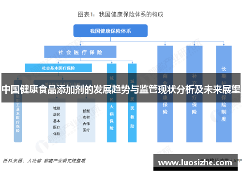 中国健康食品添加剂的发展趋势与监管现状分析及未来展望