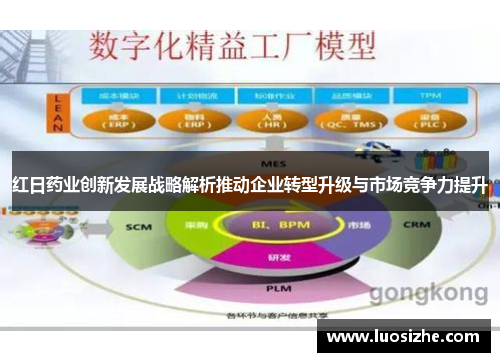 红日药业创新发展战略解析推动企业转型升级与市场竞争力提升